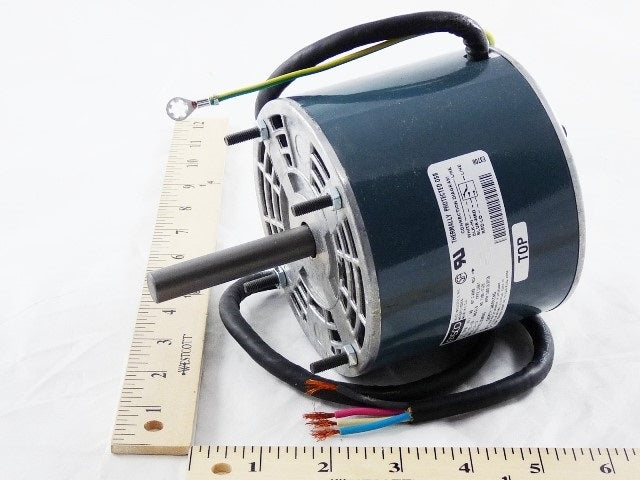 ピーター M28085 | Bell & Gossett Capacitor