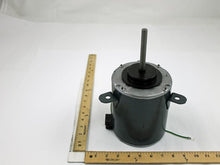 Load image into Gallery viewer, F48SP6L19