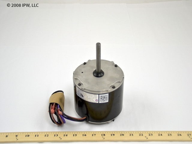 0131M00009P