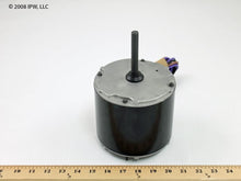 Load image into Gallery viewer, 0131M00016P
