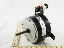 Load image into Gallery viewer, 11114903
