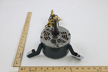 Load image into Gallery viewer, 100967-02
