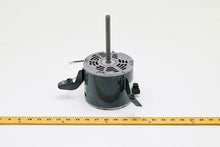 Load image into Gallery viewer, 10151202
