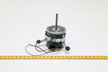 Load image into Gallery viewer, 62YD03
