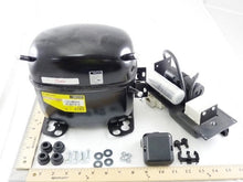 Load image into Gallery viewer, 195B0428
