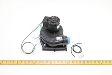 Load image into Gallery viewer, 71623509
