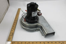 Load image into Gallery viewer, 1175978
