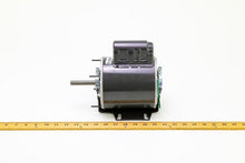 Load image into Gallery viewer, P9584
