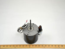 Load image into Gallery viewer, 1775P
