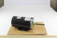 Load image into Gallery viewer, 1831VG
