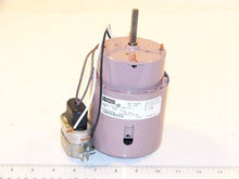 Load image into Gallery viewer, 71620186
