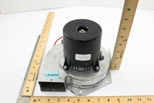 Load image into Gallery viewer, 7010033101
