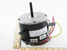 Load image into Gallery viewer, P87781
