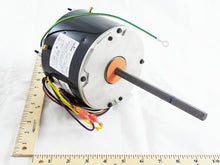 Load image into Gallery viewer, MOT13921
