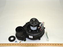 Load image into Gallery viewer, Y4L241A84
