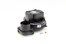 Load image into Gallery viewer, 337938789CBP
