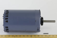 Load image into Gallery viewer, 350113901
