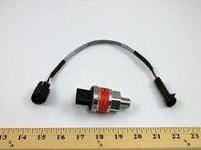 Load image into Gallery viewer, P499RFPT-504
