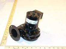 Load image into Gallery viewer, 7021-8294
