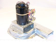 Load image into Gallery viewer, 50DK404278
