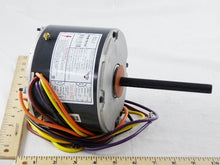 Load image into Gallery viewer, 81015572
