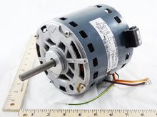 Load image into Gallery viewer, 512367901
