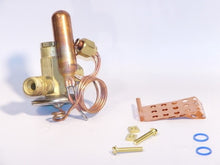 Load image into Gallery viewer, 25G81
