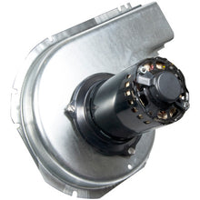 Load image into Gallery viewer, CAR48GS400649LC
