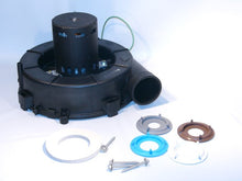 Load image into Gallery viewer, 11781300
