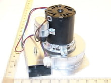 Load image into Gallery viewer, 19L15
