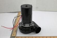Load image into Gallery viewer, 61651-003
