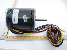 Load image into Gallery viewer, 1099694
