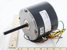 Load image into Gallery viewer, S8103-013
