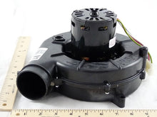 Load image into Gallery viewer, D342097P01
