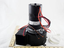 Load image into Gallery viewer, 704227802LC
