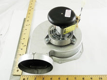 Load image into Gallery viewer, D342077P03
