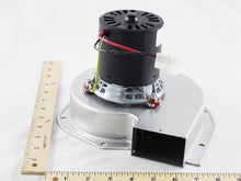 Load image into Gallery viewer, X38040363-01LC
