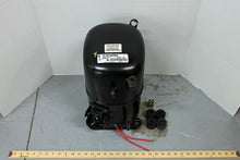 Load image into Gallery viewer, CL166YT-050
