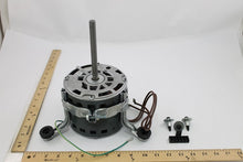 Load image into Gallery viewer, 1170131
