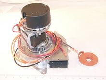 Load image into Gallery viewer, J2381366
