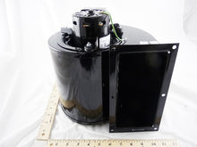 Load image into Gallery viewer, D45267
