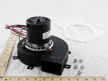 Load image into Gallery viewer, BLW00279
