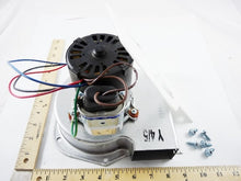 Load image into Gallery viewer, BLW00521
