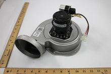 Load image into Gallery viewer, D344253P02
