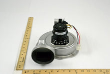 Load image into Gallery viewer, D344253P04
