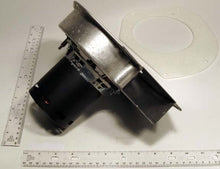 Load image into Gallery viewer, CARA241
