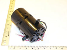 Load image into Gallery viewer, D1169
