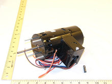 Load image into Gallery viewer, D456
