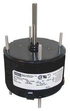 Load image into Gallery viewer, 7173-1216
