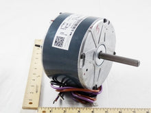 Load image into Gallery viewer, D6924401
